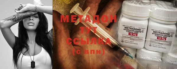 индика Надым