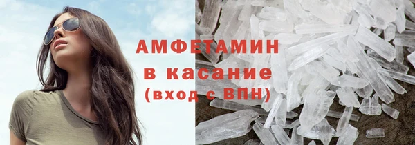 индика Надым