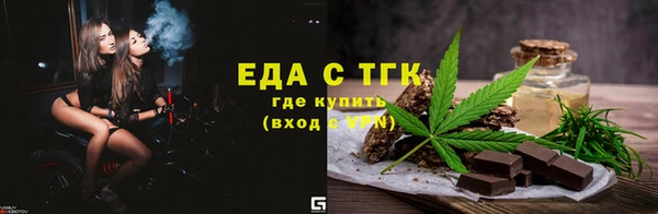индика Надым