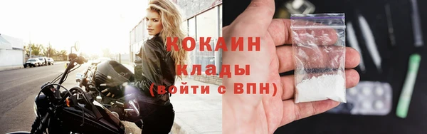 индика Надым