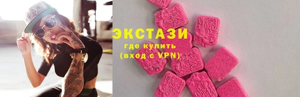 индика Надым