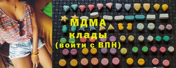 индика Надым