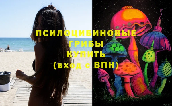 индика Надым