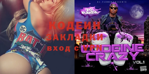 индика Надым