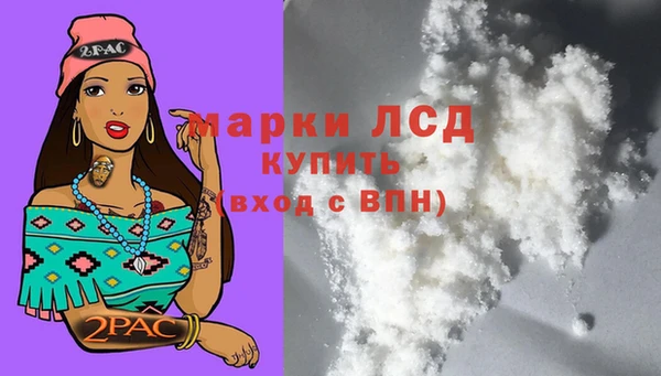индика Надым