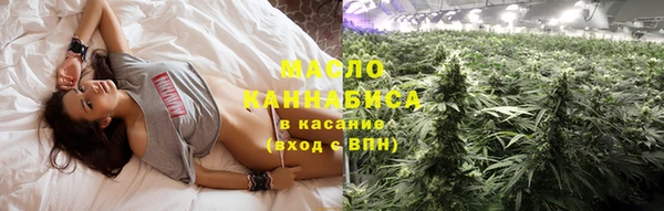 индика Надым