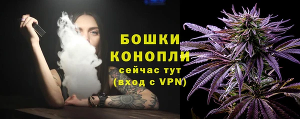 индика Надым