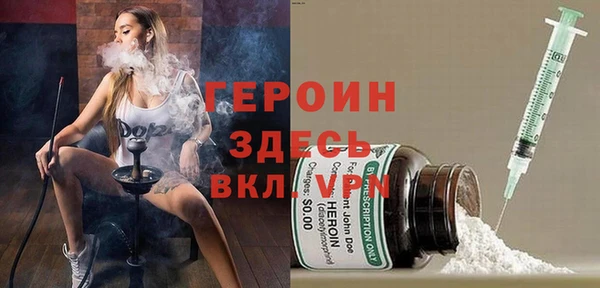 индика Надым
