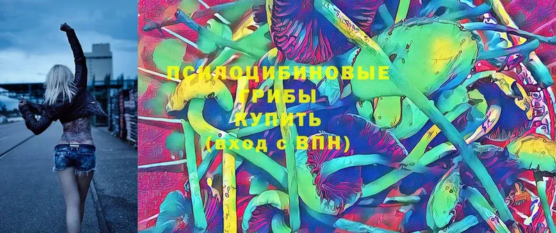 Псилоцибиновые грибы Psilocybe  цена   Усолье-Сибирское 