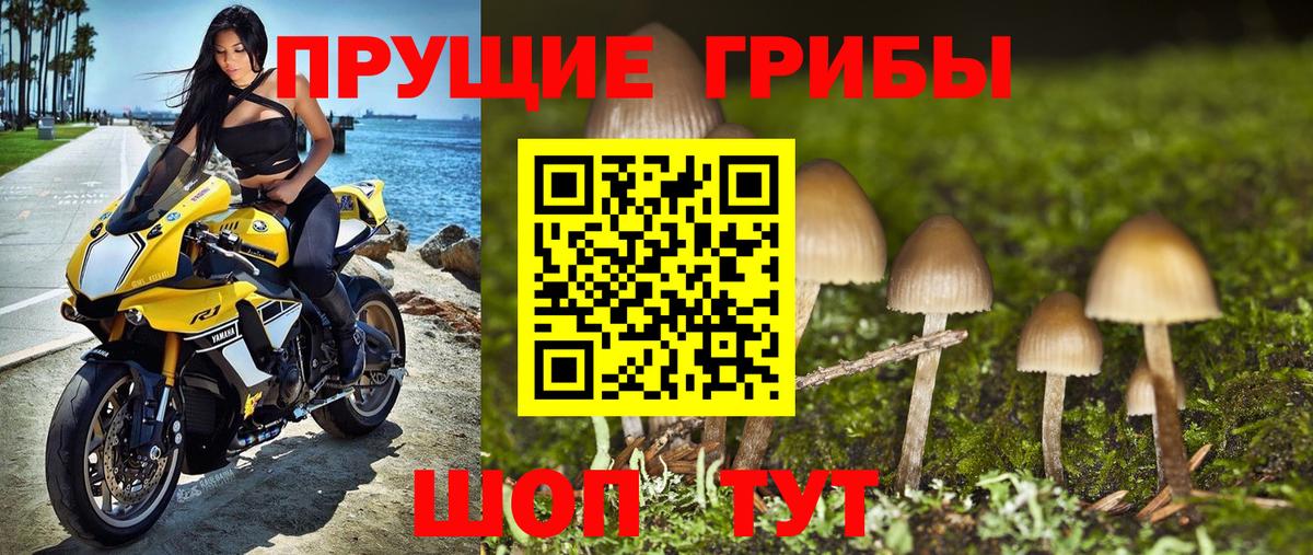 Галлюциногенные грибы мухоморы  Псилоцибиновые грибы MAGIC MUSHROOMS  Усолье-Сибирское  Вход с VPN 