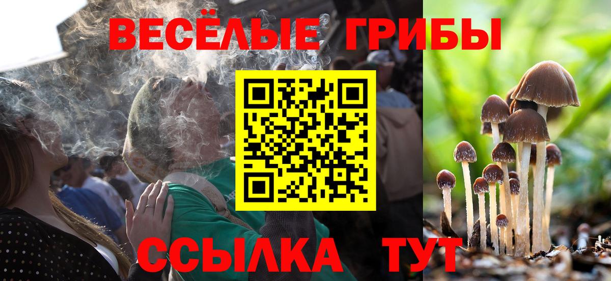 Усолье-Сибирское  Галлюциногенные грибы ЛСД  где купить наркоту  Вход с VPN 